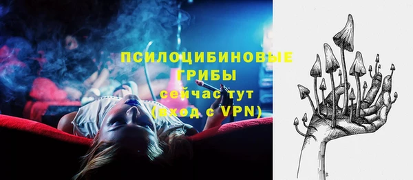 spice Дмитров