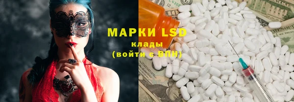 прущие грибы Дмитровск