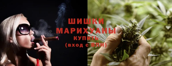 прущие грибы Дмитровск