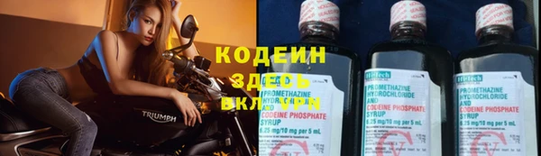 прущие грибы Дмитровск