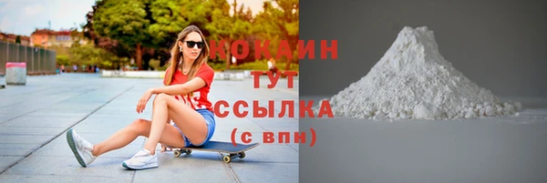 прущие грибы Дмитровск