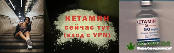 прущие грибы Дмитровск