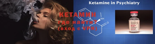 прущие грибы Дмитровск