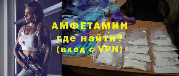 прущие грибы Дмитровск