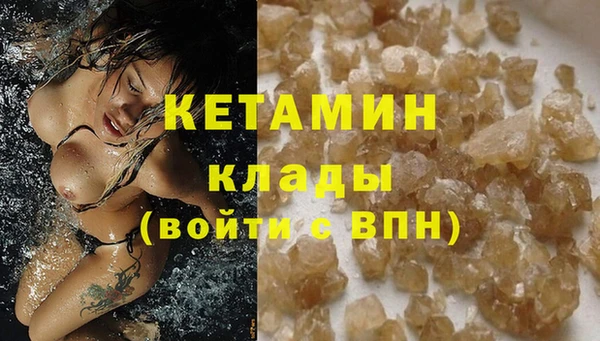 прущие грибы Дмитровск
