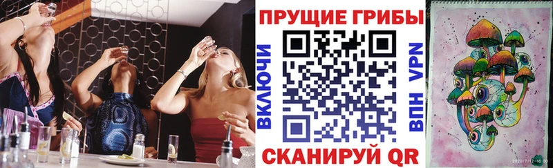 Псилоцибиновые грибы Psilocybe купить закладку Партизанск